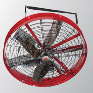 AirFocus – Single Speed