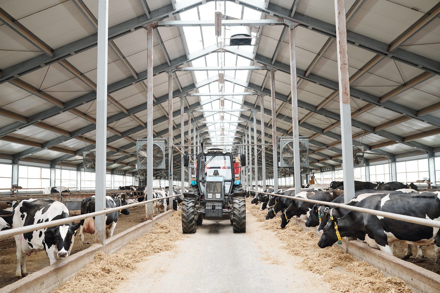 Agricultural buildings